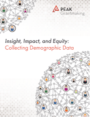 Insight, Impact, and Equity: Collecting Demographic Data